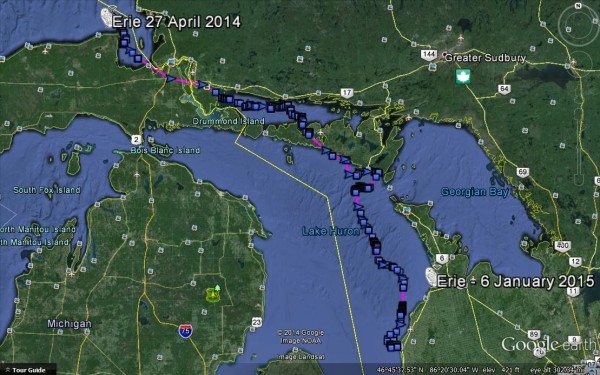 Erie's path from the last check-in on April 14, 2014 through the last location on April 27