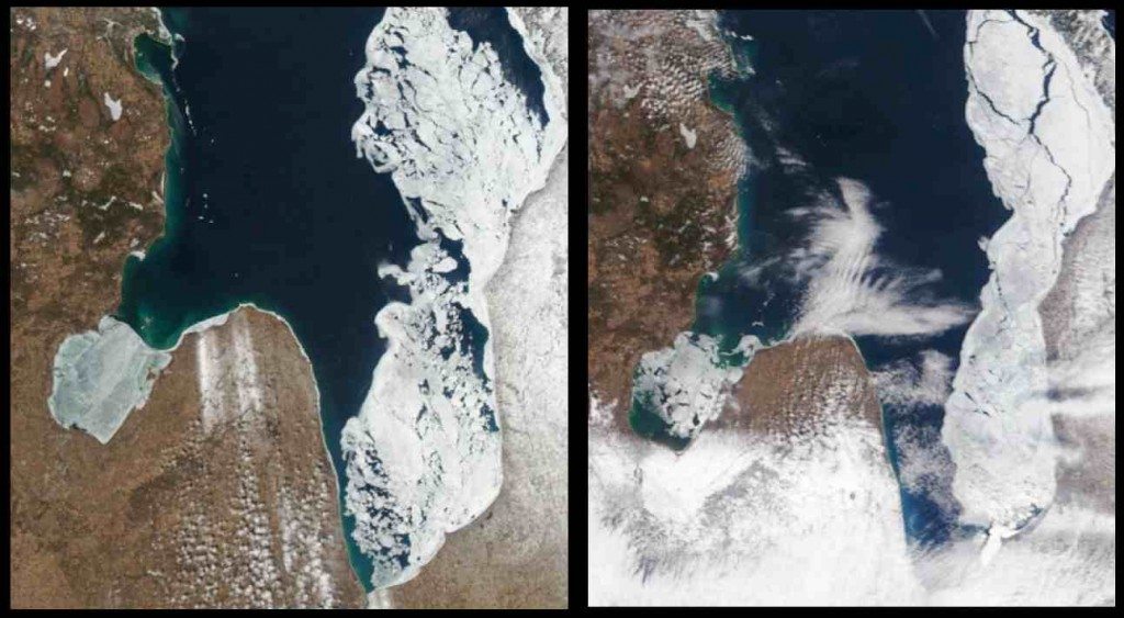 Comparison of ice on Lake Huron on March 28 (left) when the wind was from the northeast, and March 31, when it was southerly, pushing the ice out of Saginaw Bay, the "thumb" to the lower left. (MODIS imagery from NOAA CoastWatch)