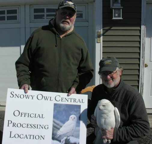 Tom McDonald, right, and Bob Gallagher outside "Snowy Owl central," Tom's nickname for the Gallagher House near Three Mile Bay, NY, where he traps so many snowy owls. (©Tom McDonald)