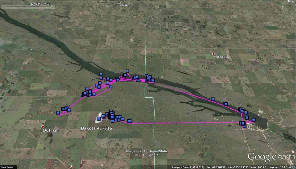 Dakota's current haunts on and around McDonald Lake, in the wheat-and-prairie country of southern Saskatchewan. (©Project SNOWstorm and Google Earth)