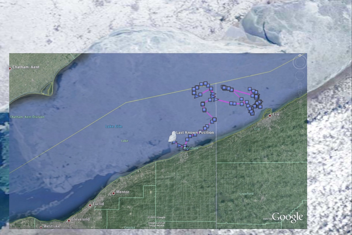 A composite image showing Millcreek's movements Feb. 21-26, with a Feb. 22 satellite image showing Lake Erie idea cover. (©Project SNOWstorm; Lake Erie MODIS imagery courtesy NOAA CoastWatch)