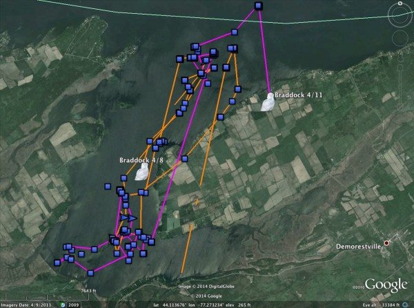 Braddock's latest movements (purple) and his tracks from April 8 (orange) (©Project SNOWstorm and Google Earth)