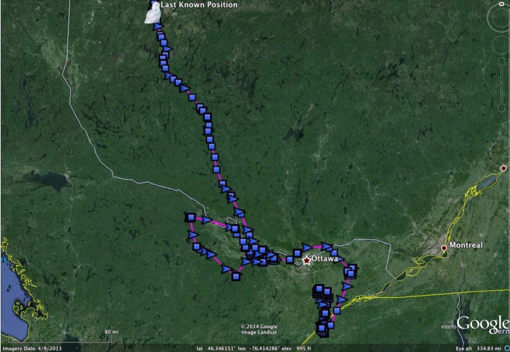 Oswegatchie's movements from his tagging in early March, until his demise in Quebec. (©Project SNOWstorm and Google Earth)