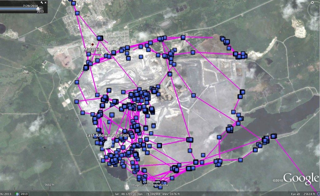 Oswegatchie's movements at the Mine Canadian Malartic site in western Quebec. (©Project SNOWstorm and Google Earth)