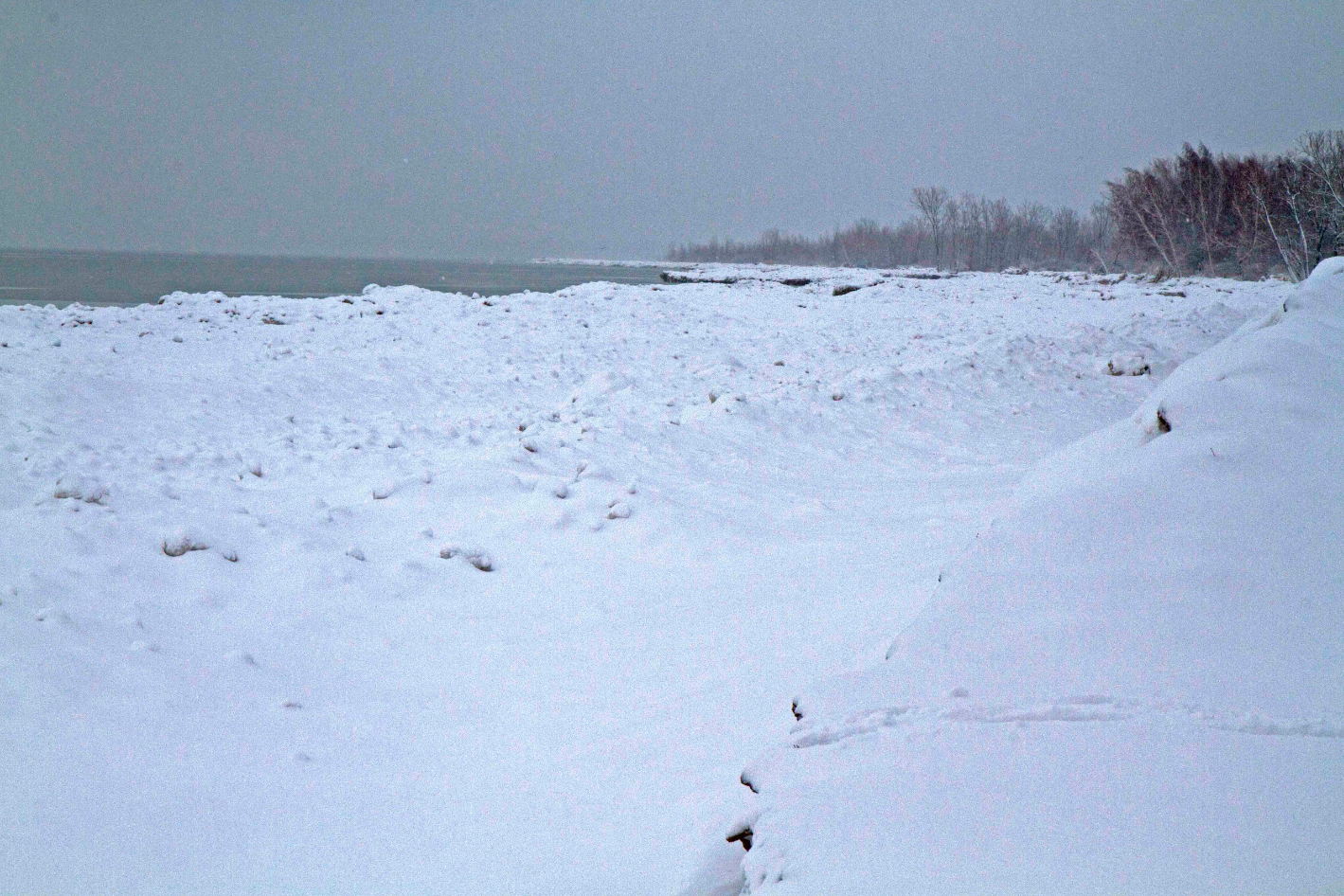 Ice dunes -- created by wind, waves and bitter cold -- crowd the Lake Erie shoreline at Presque Isle State Park (©Scott Weidensaul)