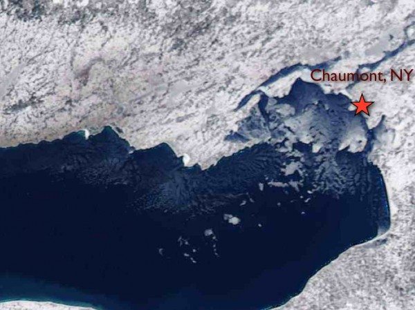 The latest NOAA satellite image shows ice building on the bays of northeastern Lake Ontario, near Chaumont, NY (MODIS imagery courtesy NOAA Coast Watch)