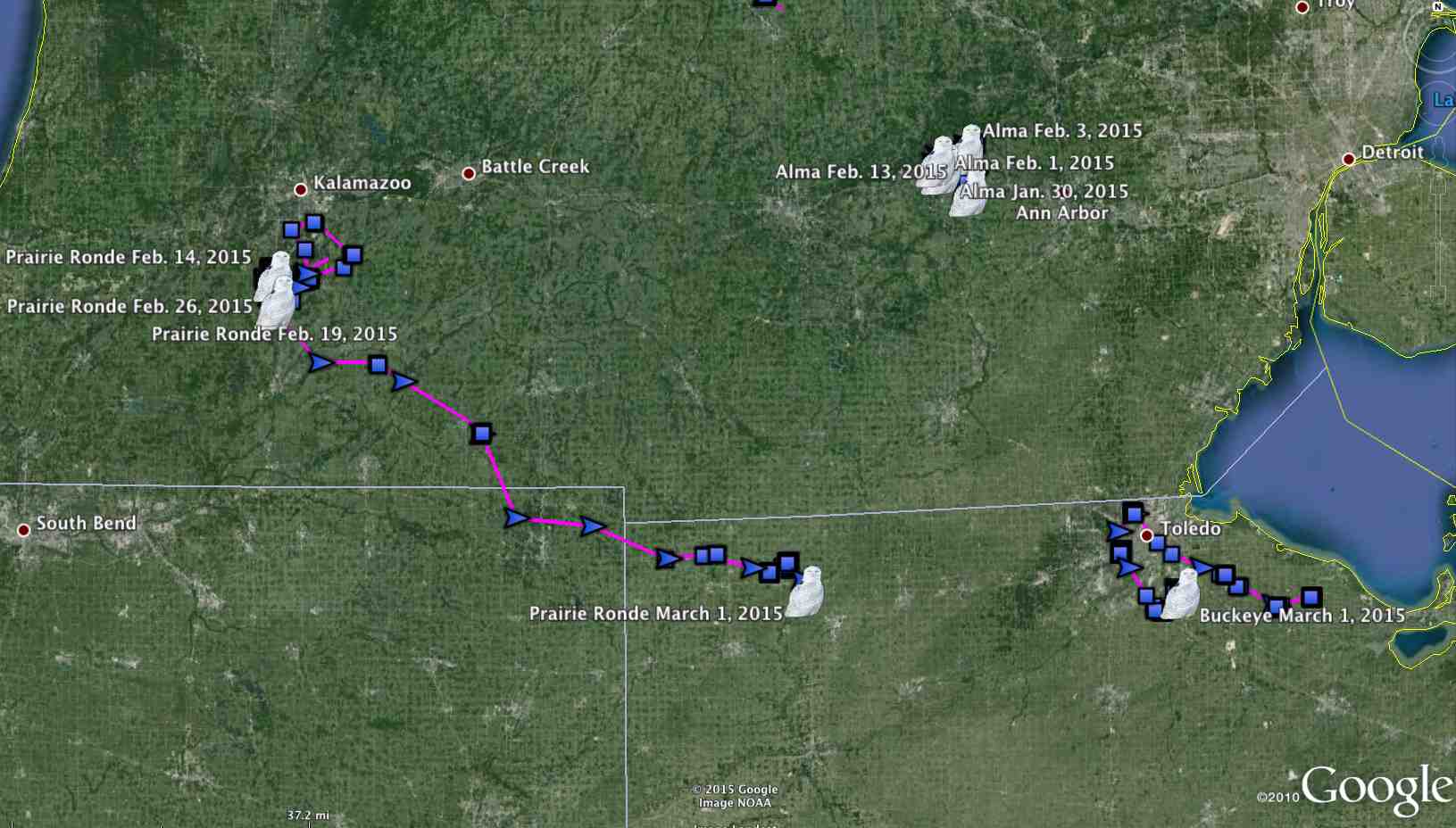 Prairie Ronde's big push into Ohio, with the wintertime tracks of Alma to the north, and Buckeye to the east. (Project SNOWstorm and Google Earth)
