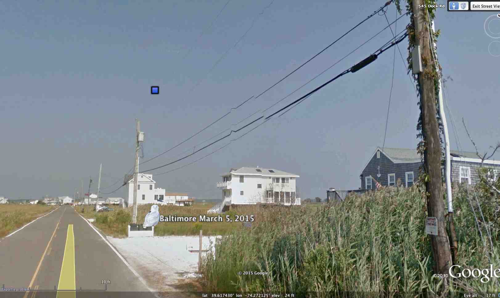 Baltimore's latest location, on a utility pole among some (presumably deserted) beach houses by Little Egg Harbor, NJ. This Google Street View photo was taken when the landscape was a whole lot warmer and a lot less white than it is now (©Project SNOWstorm and Google Earth)
