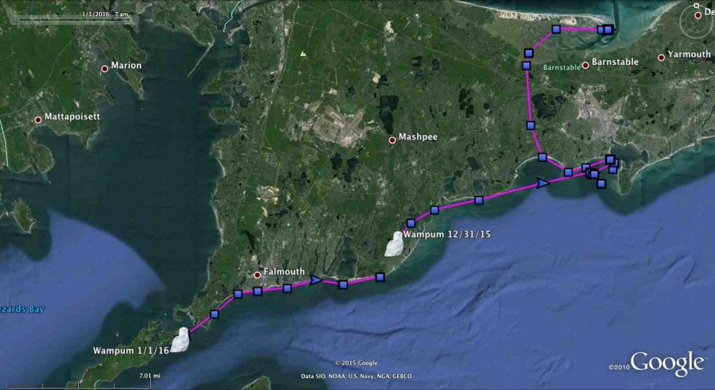 In the days after her relocation away from Logan Airport, Wampum moved south across Cape Cod and west to uninhabited Nonamessett Island. (©Project SNOWstorm and Google Earth)