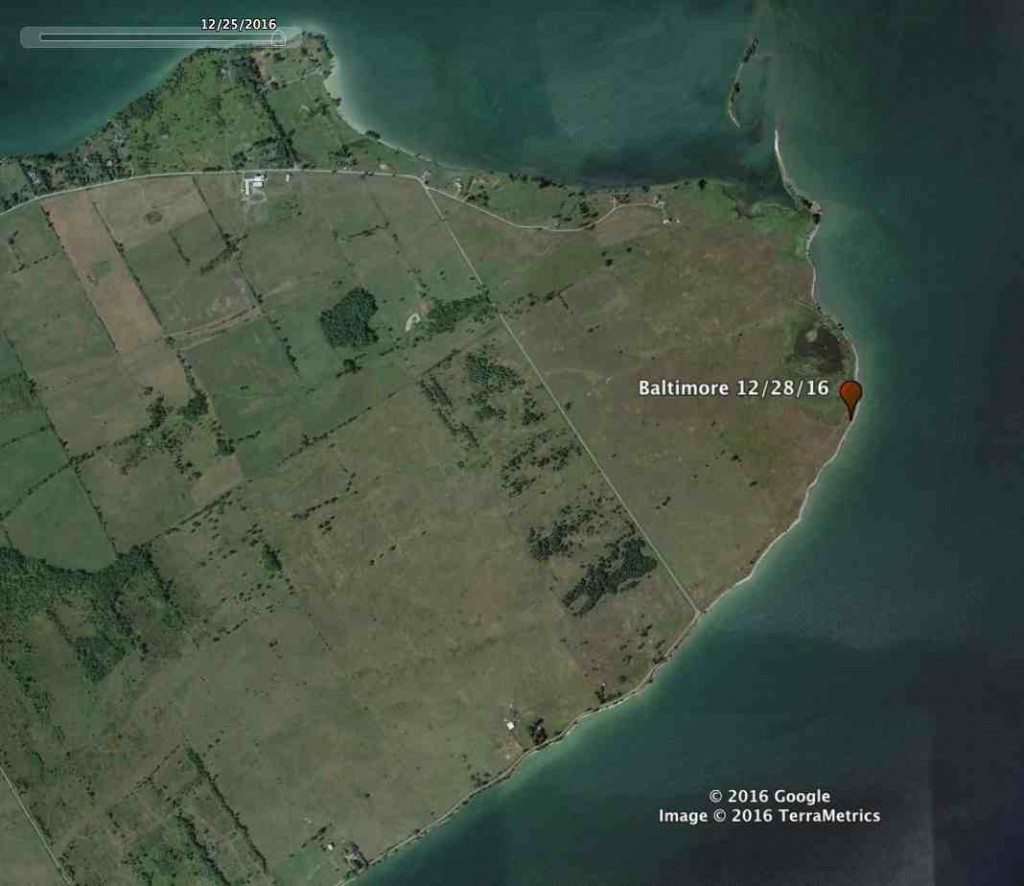 Baltimore's location Wednesday evening at the eastern end of Amherst Island, the famous owl mecca in Lake Ontario. (©Project SNOWstorm and Google Earth)